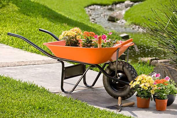 فرغون رفسنجان طراحی مقاوم و مناسب فعالیت ‌های کشاورزی